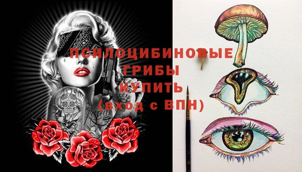 мдпв Бугульма