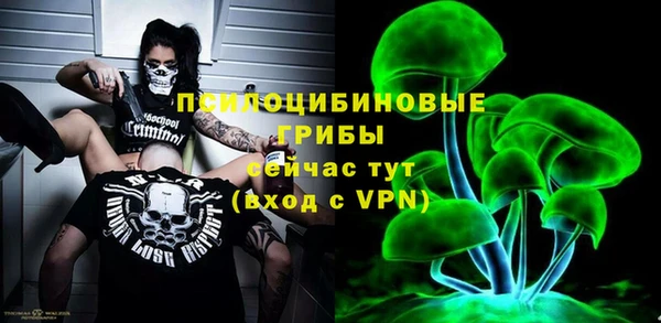 ALPHA PVP Бородино