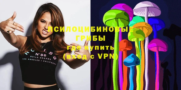 мдпв Бугульма
