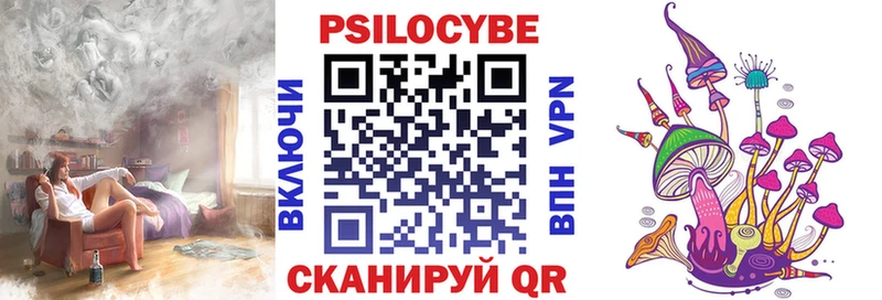 Псилоцибиновые грибы мицелий  Томмот 